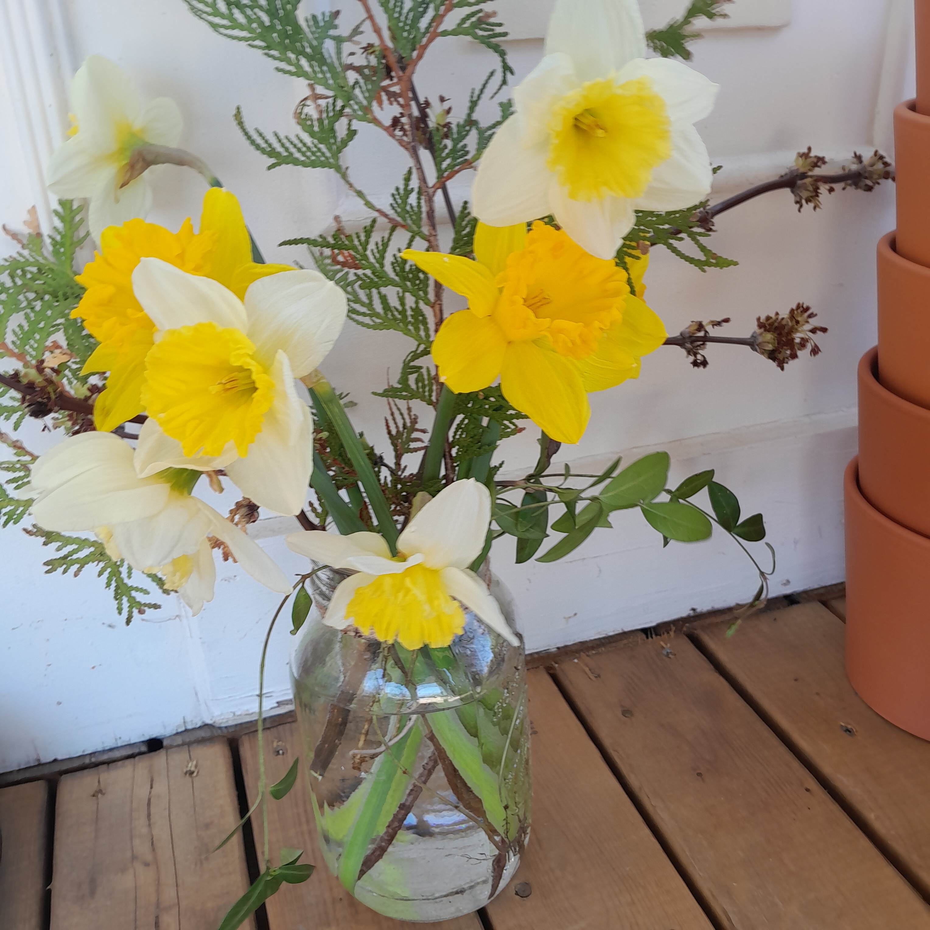 Early Spring Daffodil bouquet.